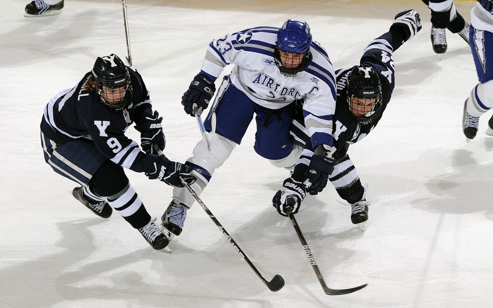 全国青少年迷你马拉松赛大放异彩，全国大学生迷你马拉松