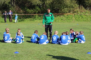 开云官网在线-法甲球队防守战术调整后定位球防守成功率提升分析，法甲实力定位